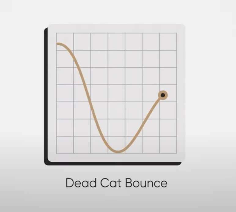 Dead cat bounce