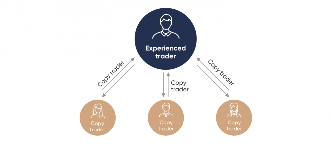 Experienced trader, Copy trader