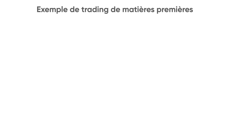 Exemple de transaction sur les matières premières Exemple de transaction sur les matières premières