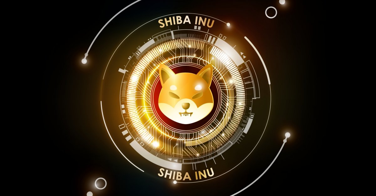 Who Owns The Most Shiba Inu Coin Shiba Inu Holders
