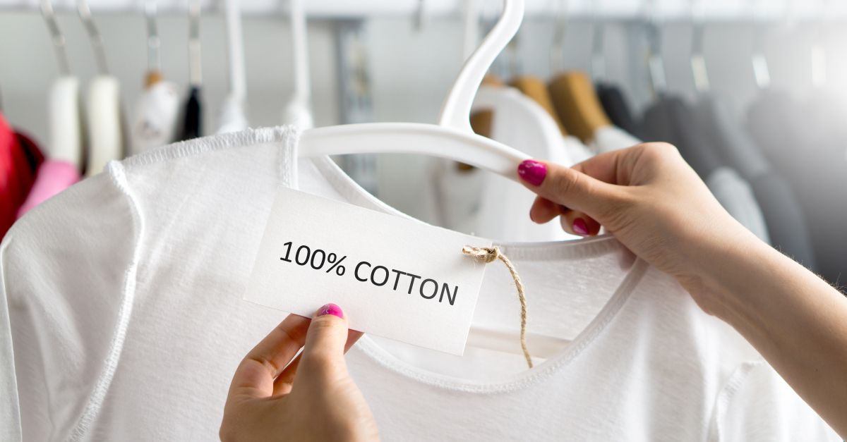 Cotton Futures Price Will Cotton Price Go Up or Down?