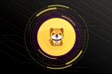 Baby doge coin Baby Doge coin showing the puppy logo on a yellow coin, against a black background