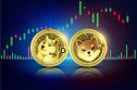 DOGE and SHIB tokens in front of a chart
