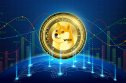 How many dogecoins are there?  All you need to know Gold coin Dogecoin on the world map. 