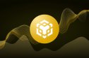 BNB logo BNB logo