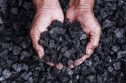 Coal pieces A coal miner holding pieces of coal