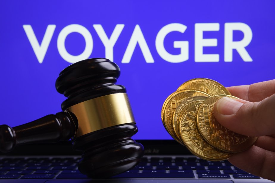 who owns voyager crypto