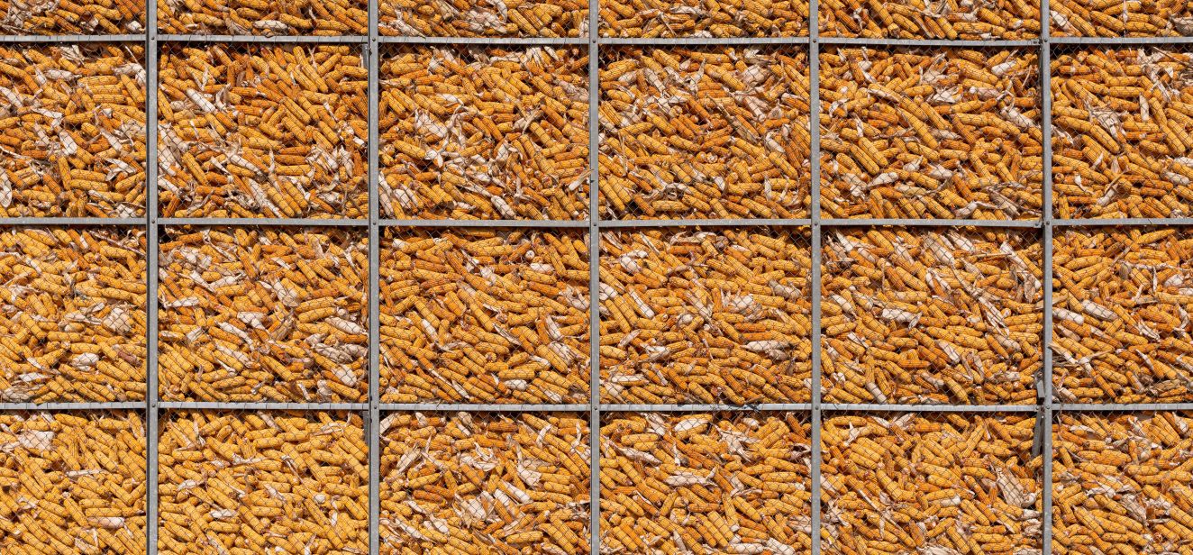 Corn Futures Prices Everything You Need to Know