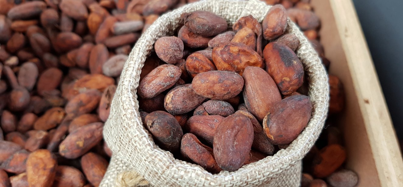 Cocoa Price Forecast Is Cocoa A Good Investment 