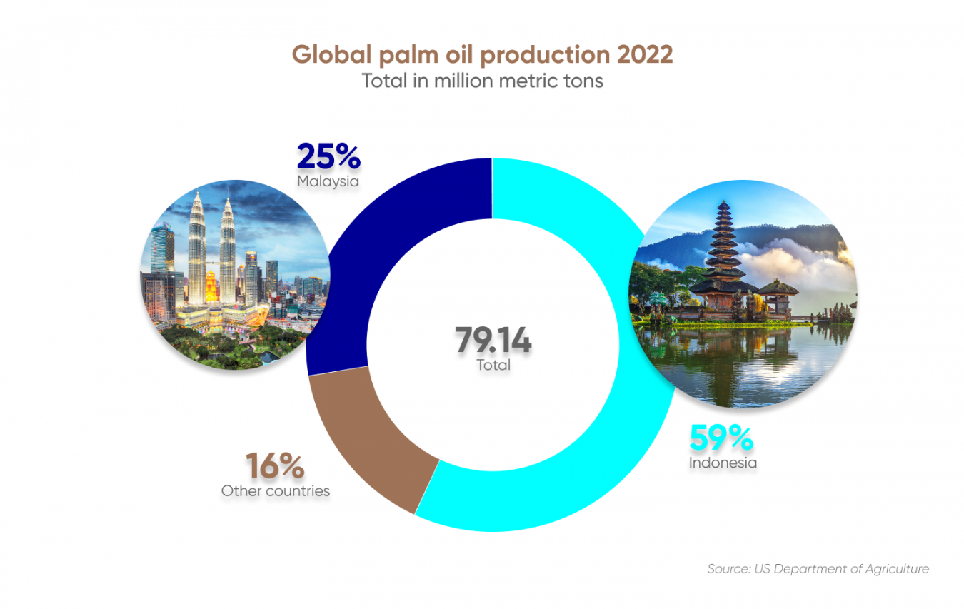 Palm Oil Price Forecast Is Palm Oil a Good Investment?