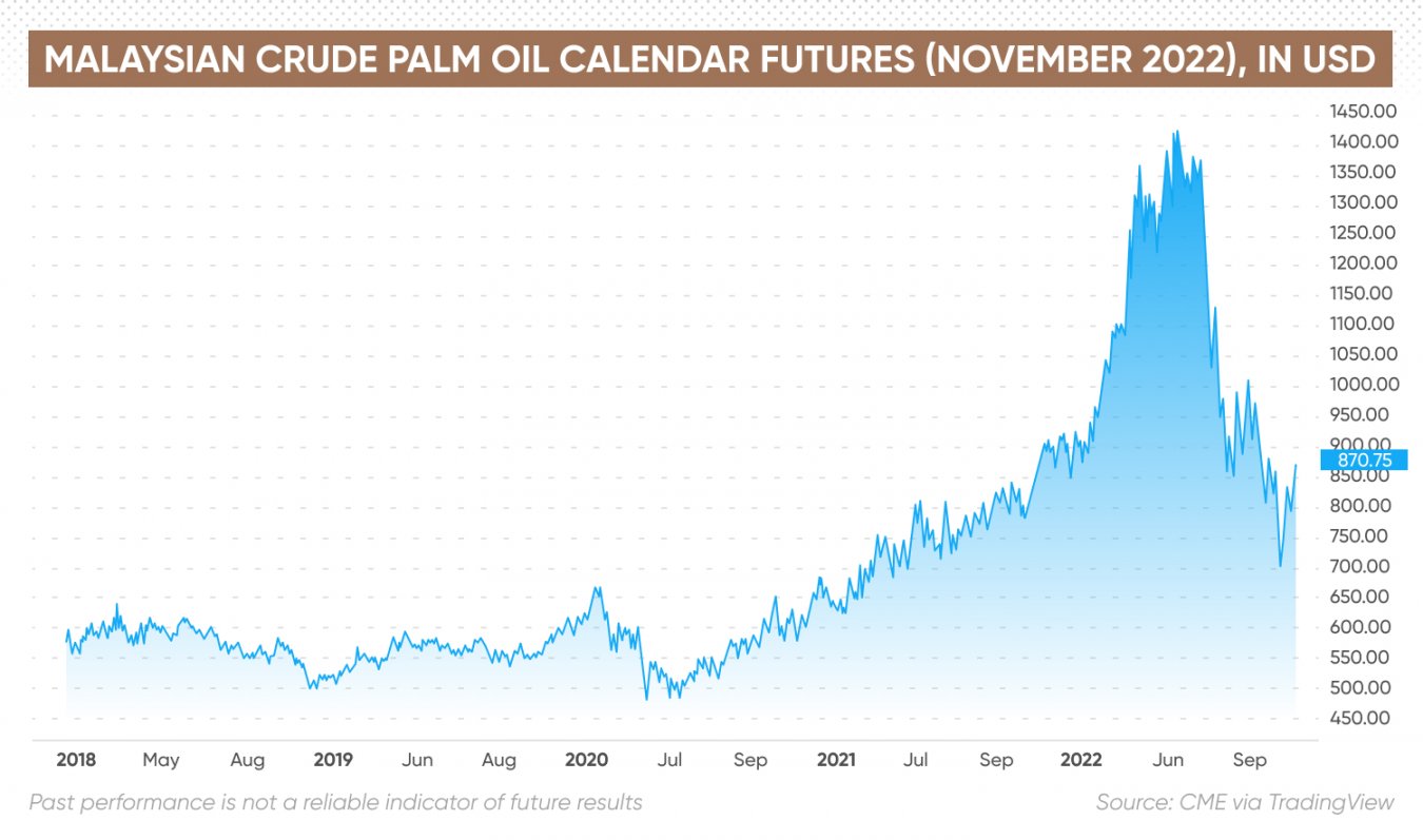 world palm oil price today