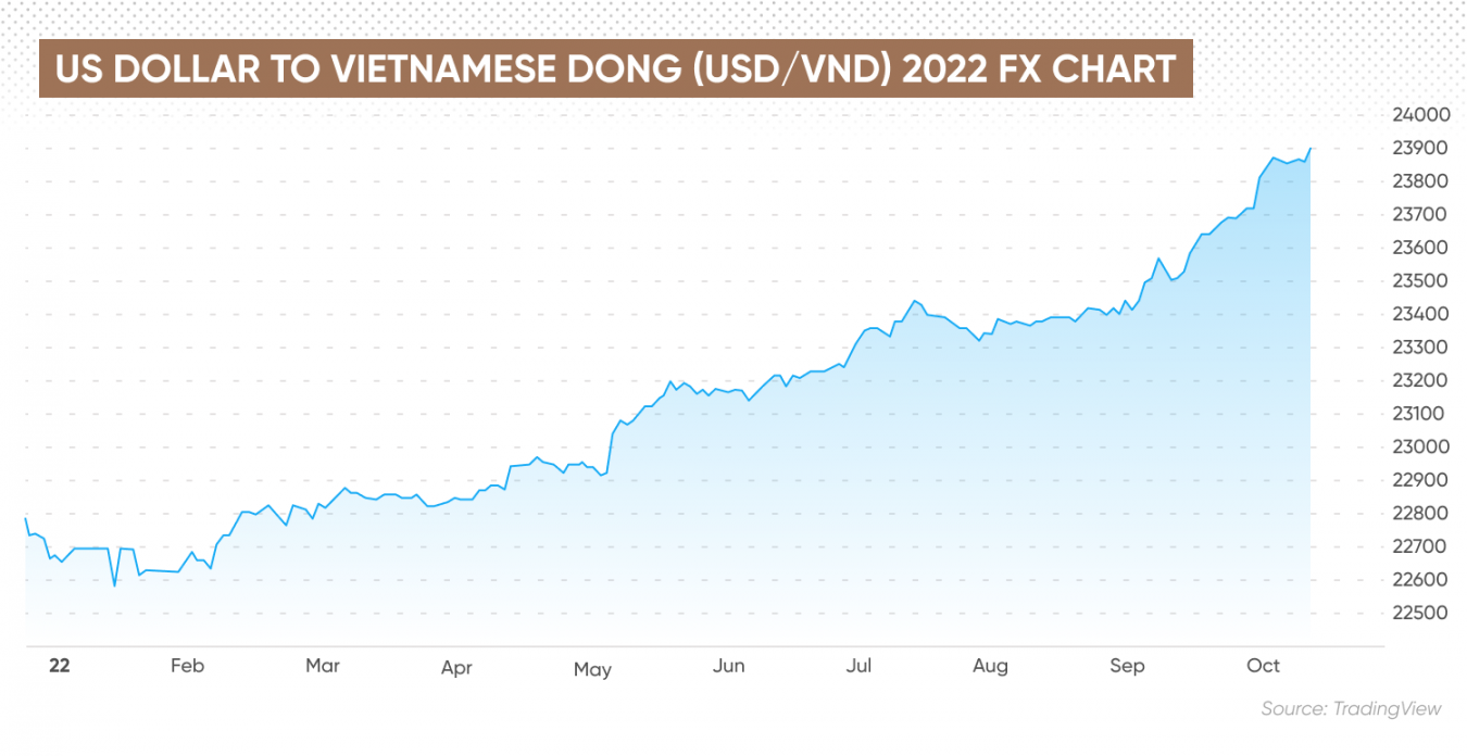 USD VND Forecast Will USD VND Go Up Or Down 