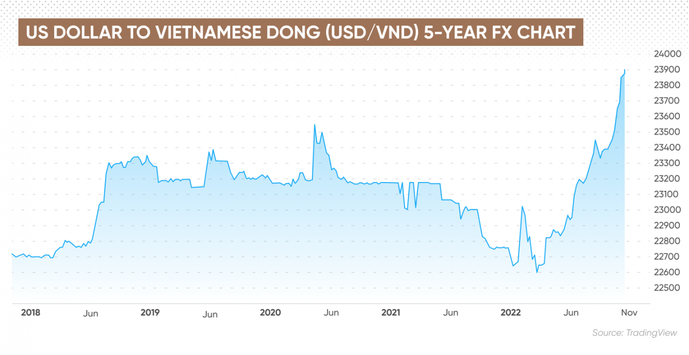 USD/VND Forecast Will USD/VND Go Up or Down?