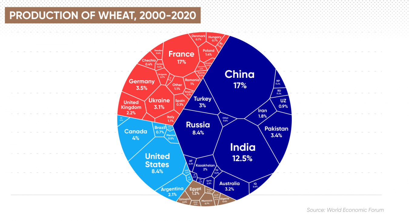 Wheat Price Forecast Is Wheat a Good Investment?