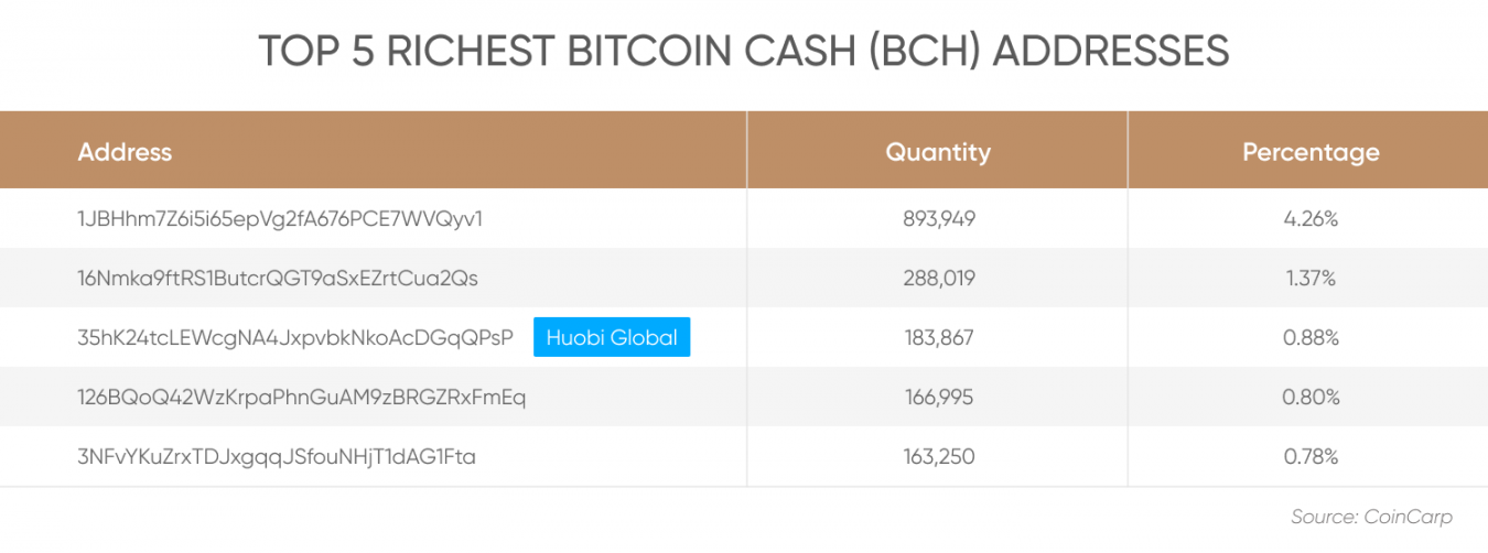 Who Owns The Most Bitcoin Cash? | Biggest BCH Holders