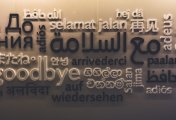 Language board A board showcasing different languages for the word