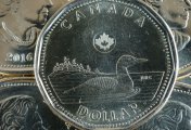 usdcad Close up of the loonie or Canadian dollar coin. The coin is shiny, dated in 2016, and depicting the traditional duck.