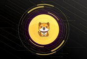 Could BABYDOGE be listed on Binance? BabyDoge token