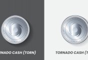 Torpedo Cash (TORN) logo. Torpedo Cash (TORN) logo.