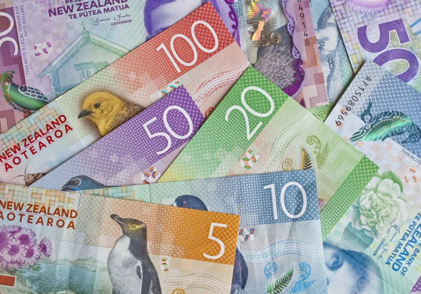 New Zealand dollar forecast Pile of New Zealand currency laying flat