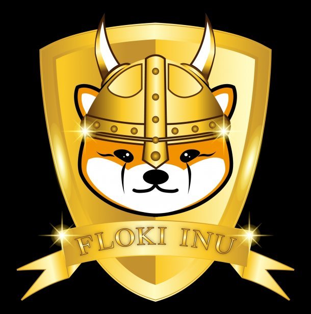 Floki Inu coin token crypto currency with golden shield, Baby doge flokin inu to the moon. vector eps 10