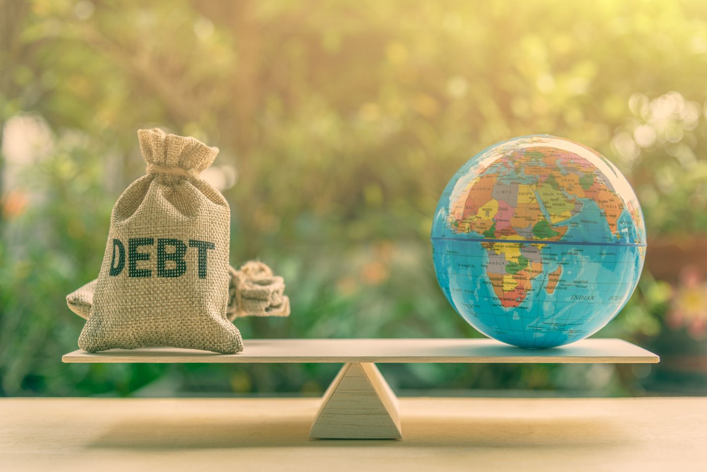 government debt