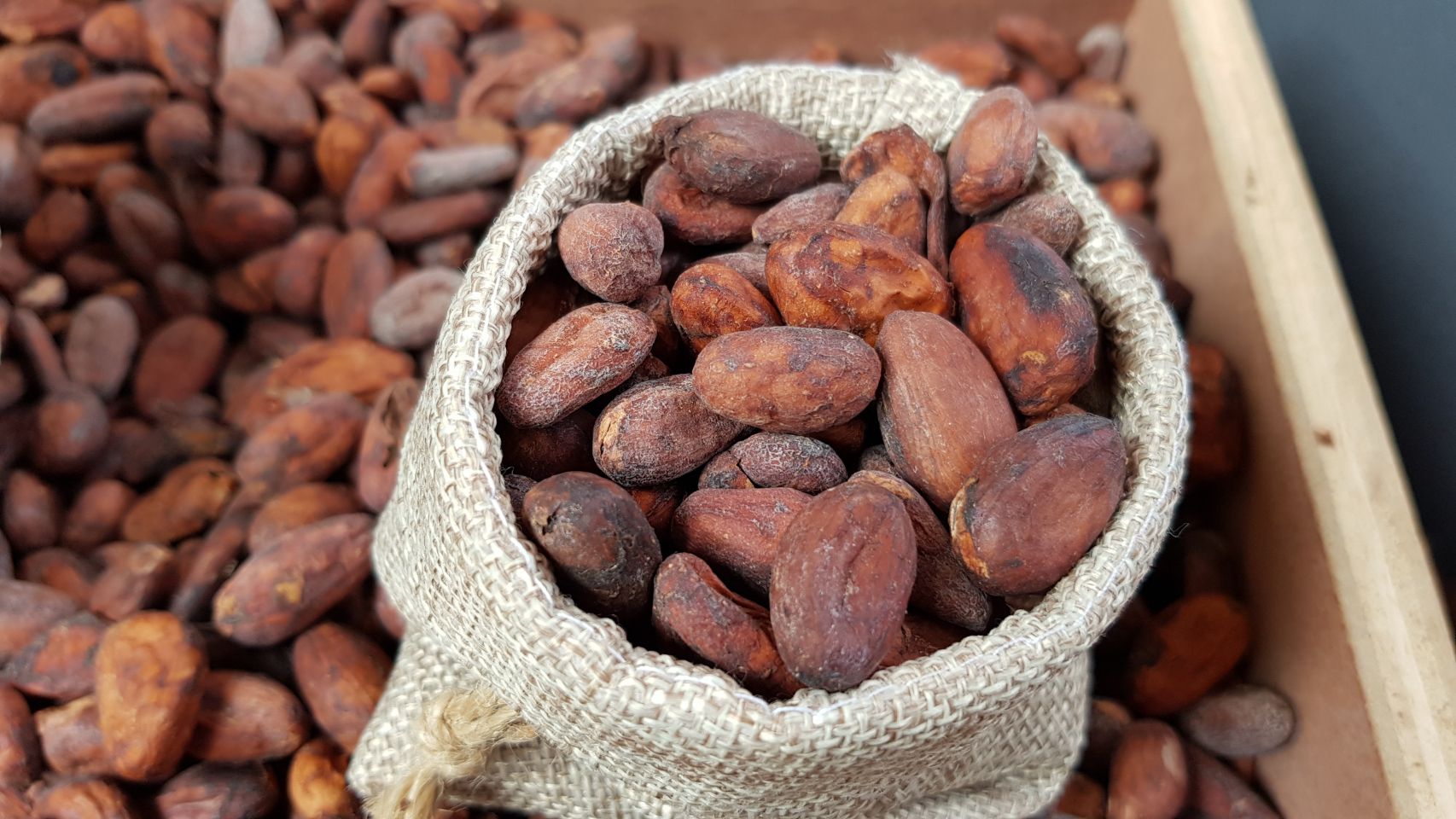 Cocoa price prediction: Third-party target