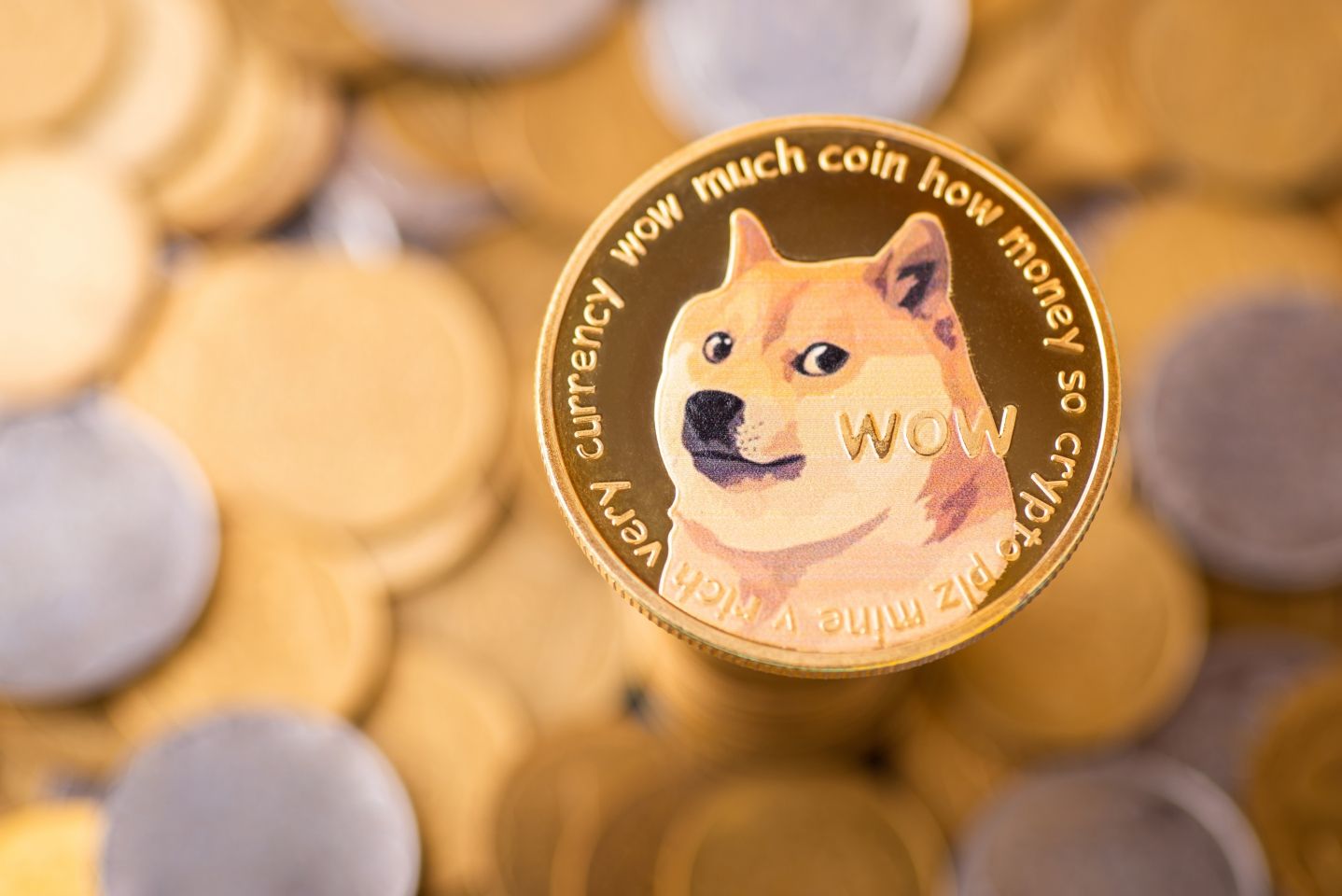 Who owns the most dogecoins? Biggest whales revealed The golden Dogecoin with background of regular coins. Dogecoin cryptocurrency symbol Who owns the most dogecoins? Biggest whales revealed The golden Dogecoin with background of regular coins. Dogecoin cryptocurrency symbol