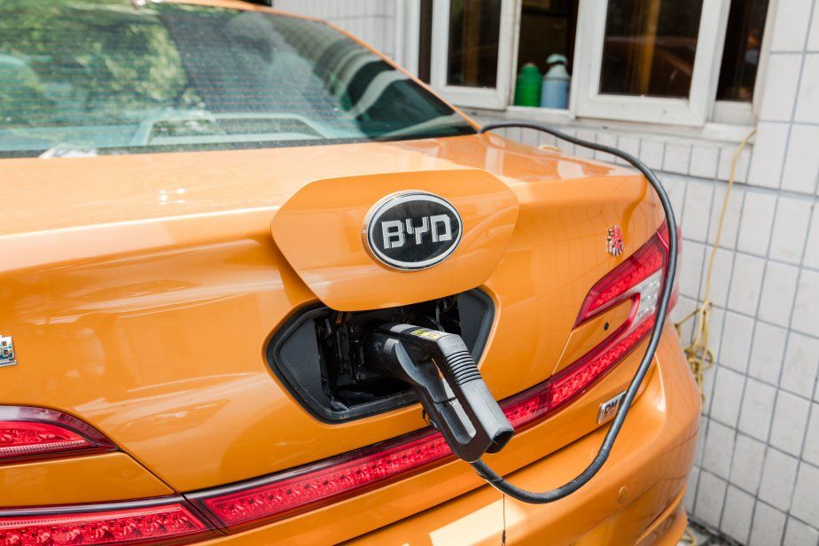 BYD shareholders BYD shareholders