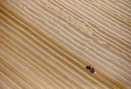 A file photo shows an aerial view of a French farmer in his tractor making bales of straw in a field in Coquelles,France, July 21, 2015. A file photo shows an aerial view of a French farmer in his tractor making bales of straw in a field in Coquelles,France, July 21, 2015.
