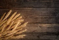 Ears of wheat on a wooden background