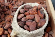 Cocoa price prediction: Third-party target