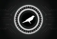 Kusama logo with crypto currency themed circle black background design. Modern neon color banner for KSM token icon. Kusama Cryptocurrency Blockchain technology concept.