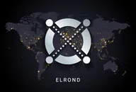 Elrond crypto digital payment system blockchain concept. Cryptocurrency isolated on earth night lights world map background. Vector illustration