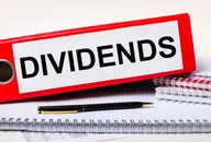 Binder labelled dividends on a desk