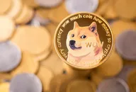 Who owns the most dogecoins? Biggest whales revealed The golden Dogecoin with background of regular coins. Dogecoin cryptocurrency symbol