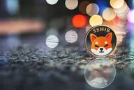 Прогноз курса Shiba