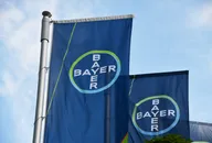 Bayer company flags displayed outside a corporate building