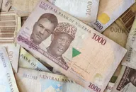 Naira, Nigerian Money