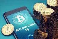Bitcoin Cash Preis Vorhersage