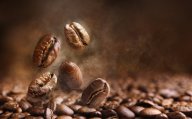 Coffee price forecast