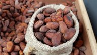 Cocoa price prediction: Third-party target