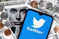 Twitter shareholders: Does Elon Musk own the most TWTR stock? Twitter logo, Elon Musk