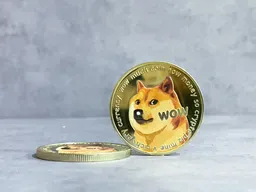 Dogecoin Prognose: Fed hält Zinsen, Whale-Verkaufsdruck