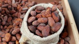 Cocoa price forecast: Third-party price targets