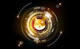 Who owns the most shiba inu coins? All you need to know about SHIB community