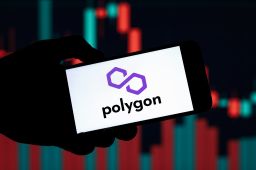 Who owns the most Polygon (MATIC) crypto?