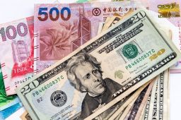 What currencies are pegged to USD?