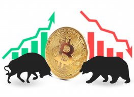 Bitcoin between a bull and a bear