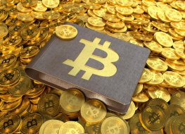 Bitcoins and wallet. Photo: Alamy 